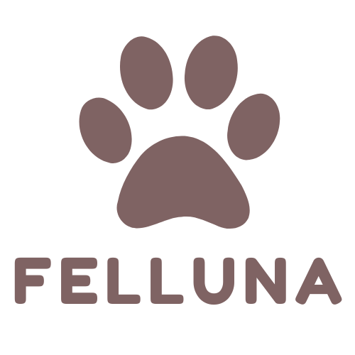 Felluna